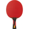 Ракетка для н/т DOUBLE FISH 7A+C, для професс.,ITTF Appr.,накл.2,1мм,+ 2 мяча V40+мм ITTF Appr за 3&nbsp;559.80 ₽ купить в Владимире