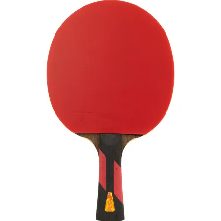 Ракетка для н/т DOUBLE FISH 7A+C, для професс.,ITTF Appr.,накл.2,1мм,+ 2 мяча V40+мм ITTF Appr за 3&nbsp;559.80 ₽ купить в Владимире