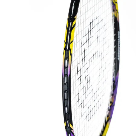 Ракетка бадм. TORRES Carbon PRO6, BD20521,для продв., стерж/обод из карбона,со струнами, фиол за 4&nbsp;477.80 ₽ купить в Владимире