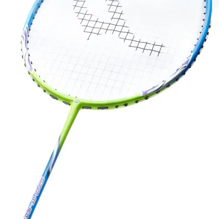 Ракетка для бадм. DOUBLE FISH JINQUE QT-1601, для продвинутых,карбон со струнами,литая,голубой за 3&nbsp;015.80 ₽ купить в Владимире