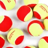 Мяч теннисный детский NS Red, 5021009, уп.12 шт, резина, шерть, нейлон, желто-красный за 2&nbsp;941 ₽ купить в Владимире