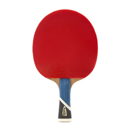 Ракетка для н/т DOUBLE FISH 5A+C, для продвин, ITTF Appr, накл. 2,1 мм, конич. ручка+ 2 мяча V40+мм за 2&nbsp;779.50 ₽ купить в Владимире
