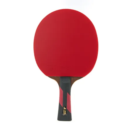 Ракетка для н/т DOUBLE FISH 7A+C, для професс.,ITTF Appr.,накл.2,1мм,+ 2 мяча V40+мм ITTF Appr за 3&nbsp;559.80 ₽ купить в Владимире