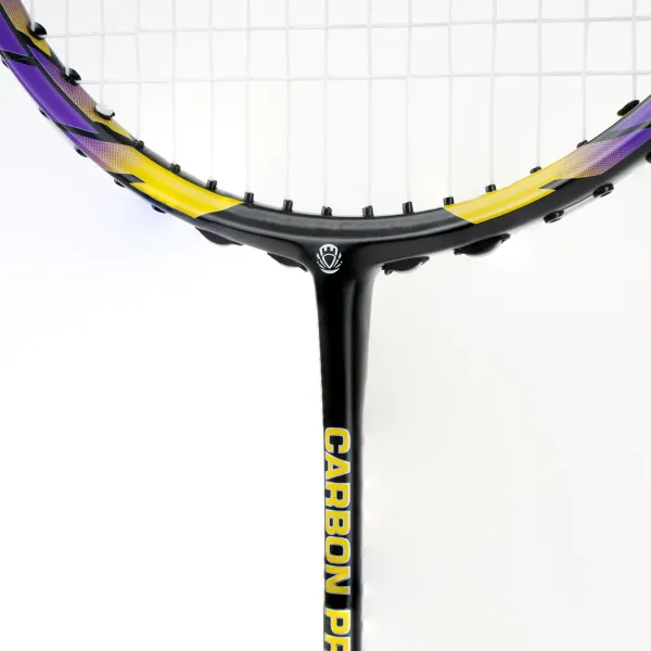 Ракетка бадм. TORRES Carbon PRO6, BD20521,для продв., стерж/обод из карбона,со струнами, фиол за 4&nbsp;477.80 ₽ в Владимире